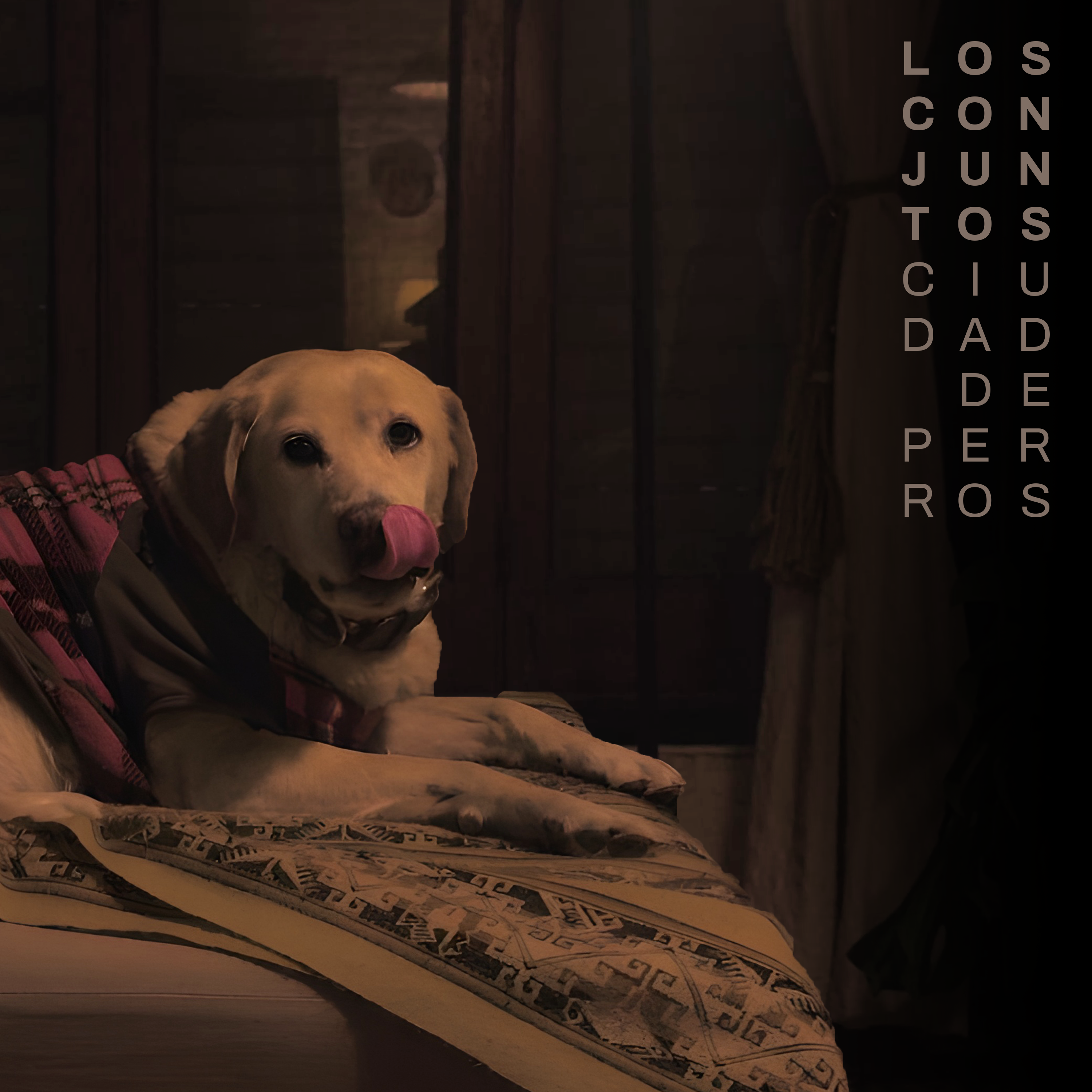 Ciudad de Perros
