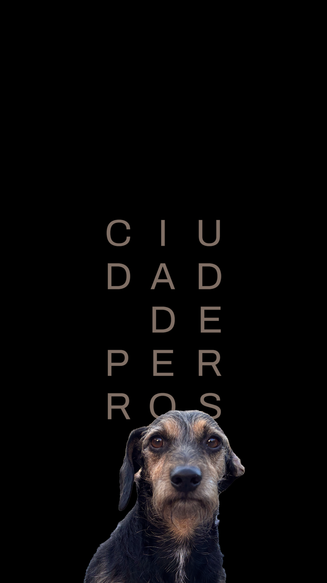 DIEGUITO